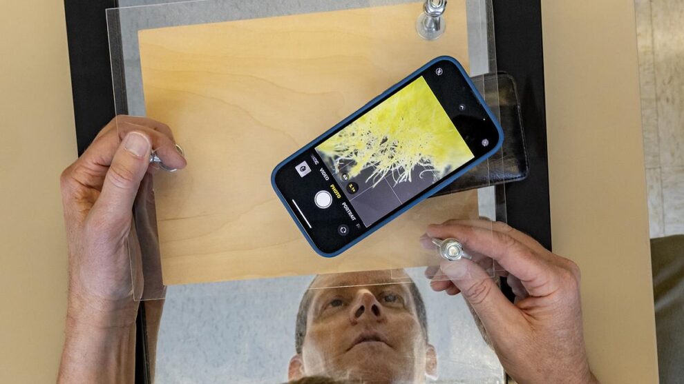 Video Library - UNC Student Affairs Career Center